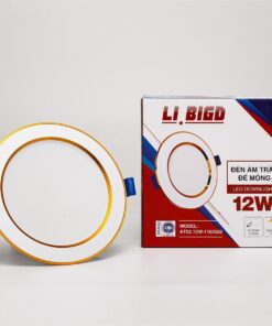 ĐÈN ÂM TRẦN ĐẾ MỎNG 12W ÁNH SÁNG ĐỔI MÀU (LI BIGD) Tri Việt