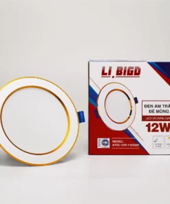 ĐÈN ÂM TRẦN ĐẾ MỎNG 12W ÁNH SÁNG TRẮNG (LI BIGD) Tri Việt