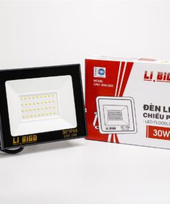 Đèn Led chiếu pha CP01 - 30W (LI BIGD)